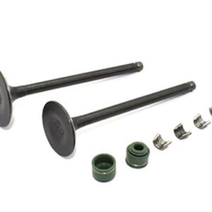 VALVULA ADMISION CB150