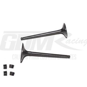 VALVULA ADM/ESC CG250