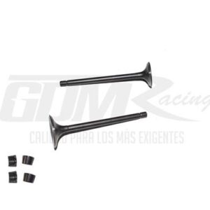 VALVULA ADM/ESC CB200