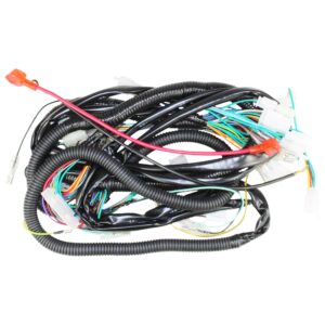 RAMAL ELECTRICO MOTOTAXI GL