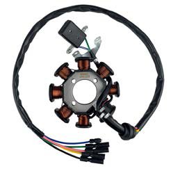 ALTERNADOR CG150 8 POLOS WX