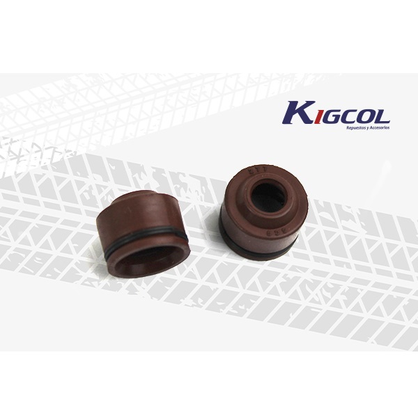 RETEN VALVULA C100/110 MARRON PAR - KIGCOL
