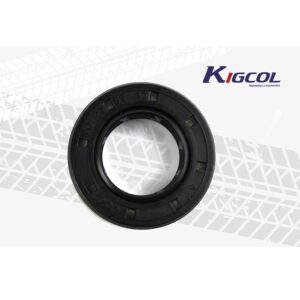 RETEN 20-35-10 CAJA RETRO MFG - BJR